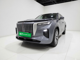 红旗E-HS9 2021款 460km 旗享版 六座