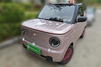 吉利银河 2023款 熊猫mini 200km 灵动熊