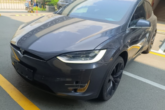 特斯拉 Model X 2019款 Performance 高性能版