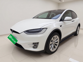 特斯拉 Model X 2020款 长续航升级版