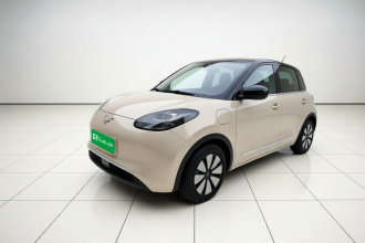 五菱汽车 五菱缤果 2025款 333km 悦享款