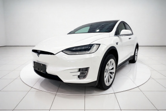 特斯拉 Model X 2020款 长续航升级版