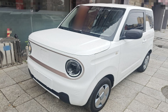 吉利银河 2023款 熊猫mini 200km 耐力熊