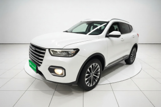 哈弗H6 2020款 1.5GDIT 自动铂金冠军版