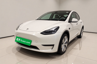 特斯拉 Model Y 2021款 标准续航后驱版