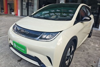 比亚迪 海豚 2023款 420km 时尚版