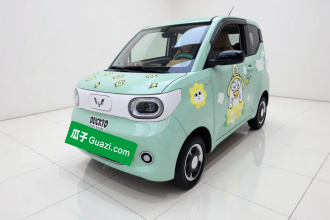 五菱汽车 宏光MINIEV 2024款 第三代 215km 青春版