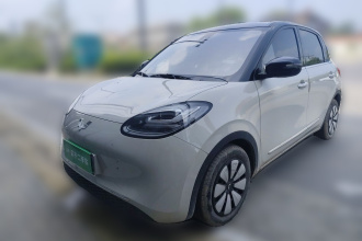 五菱汽车 五菱缤果 2023款 203km 舒享款