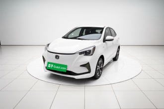 长安 奔奔E-Star 2022款 赏心版 多彩款 磷酸铁锂