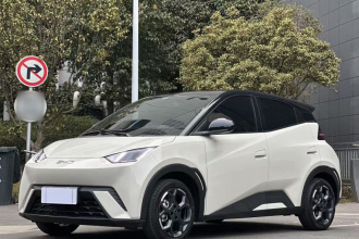 比亚迪 海鸥 2024款 荣耀版 305km 自由版