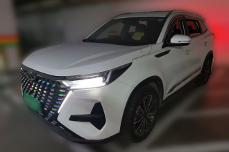 奇瑞 瑞虎8 PRO 2024款 冠军版 290T 两驱闪耀版 7座