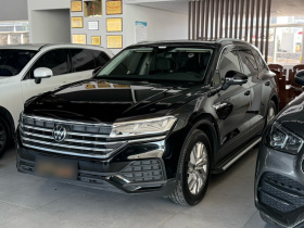 大众 途锐 2020款 2.0TSI 锐尚版 国VI