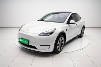 特斯拉 Model Y 2021款 标准续航后驱版