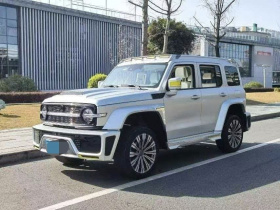 超境汽车 共创坦克300 2021款 2.0T 赛博坦克