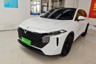 启辰大V 2021款 260T 爱豆版