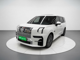 极氪009 2022款 WE版