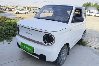 吉利银河 2023款 熊猫mini 200km 耐力熊