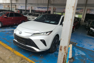 丰田 威飒 2023款 2.0L CVT两驱尊贵版