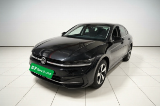 大众 迈腾 2024款  300TSI DSG尊享版显眼包