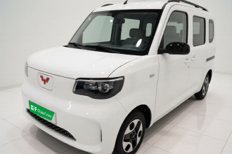 五菱汽车 五菱之光新能源 2025款 305km 进取型