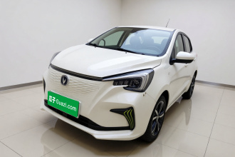 长安 奔奔E-Star 2022款 赏心版 多彩款 磷酸铁锂