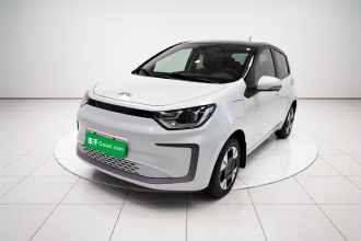 江淮钇为 钇为花仙子 2024款 挚爱版 301km Lite