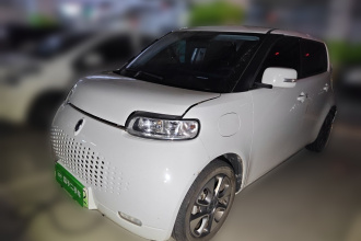 欧拉白猫 2020款 305km 豪华型