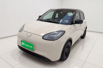 五菱汽车 五菱缤果 2023款 333km 灵犀互联+款