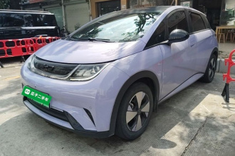 比亚迪 海豚 2023款 420km 时尚版