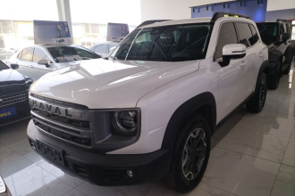 哈弗大狗 2024款 2.0T DCT中华田园犬版