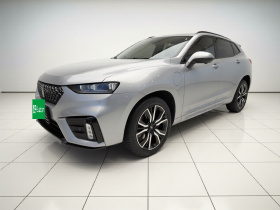 魏牌 VV7新能源 2020款 PHEV 2.0T 旗舰型