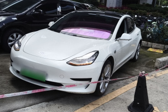 特斯拉 Model 3 2019款 标准续航后驱升级版