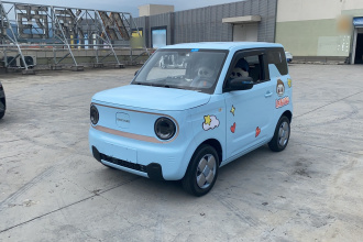 吉利银河 2023款 熊猫mini 200km 耐力熊