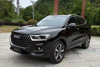 哈弗H6 2023款 国潮版 1.5T 自动冠军版