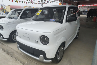 睿蓝汽车 睿蓝蓝气球 2025款 活力版