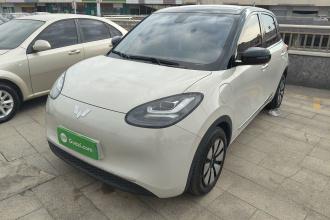 五菱汽车 五菱缤果 2023款 410km 灵犀尊享款