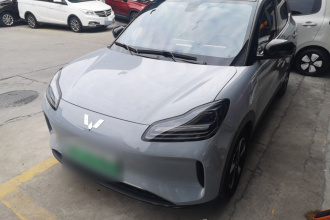 五菱汽车 五菱缤果PLUS 2024款 330km 五座版