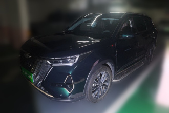 奇瑞 瑞虎8 PRO 2022款 290T 两驱风暴版 7座