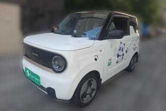 吉利银河 2023款 熊猫mini 200km 灵动熊