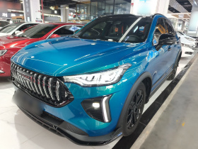 哈弗赤兔 2021款 激擎版 1.5T 铂金兔