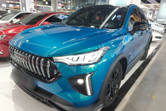 哈弗赤兔 2021款 激擎版 1.5T 铂金兔