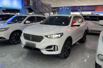 魏牌 VV6 2021款 2.0T 两驱智护+