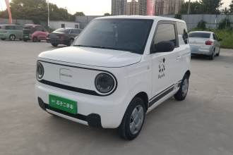 吉利银河 2024款 熊猫mini 200km 耐力熊