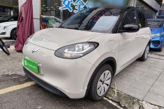 五菱汽车 五菱缤果 2024款 203km 轻享款