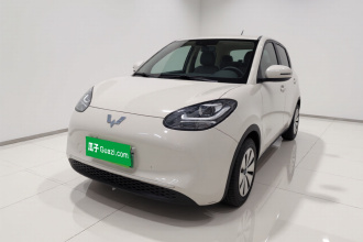 五菱汽车 五菱缤果 2023款 203km 轻享款