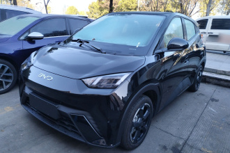 比亚迪 海鸥 2024款 荣耀版 405km 飞翔版