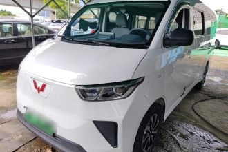 五菱汽车 五菱扬光 2024款 300km 舒适型客车版 75kW