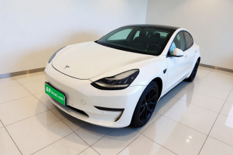 特斯拉 Model 3 2020款 改款 长续航后轮驱动版