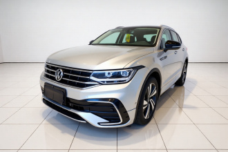 大众 途观X 2022款 330TSI 两驱旗舰版