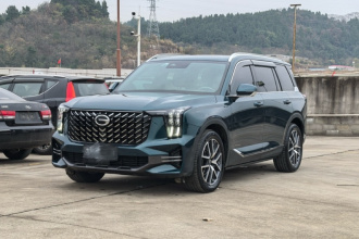 广汽传祺 传祺GS8 2022款 领航系列 2.0TGDI 两驱尊贵版（七座）